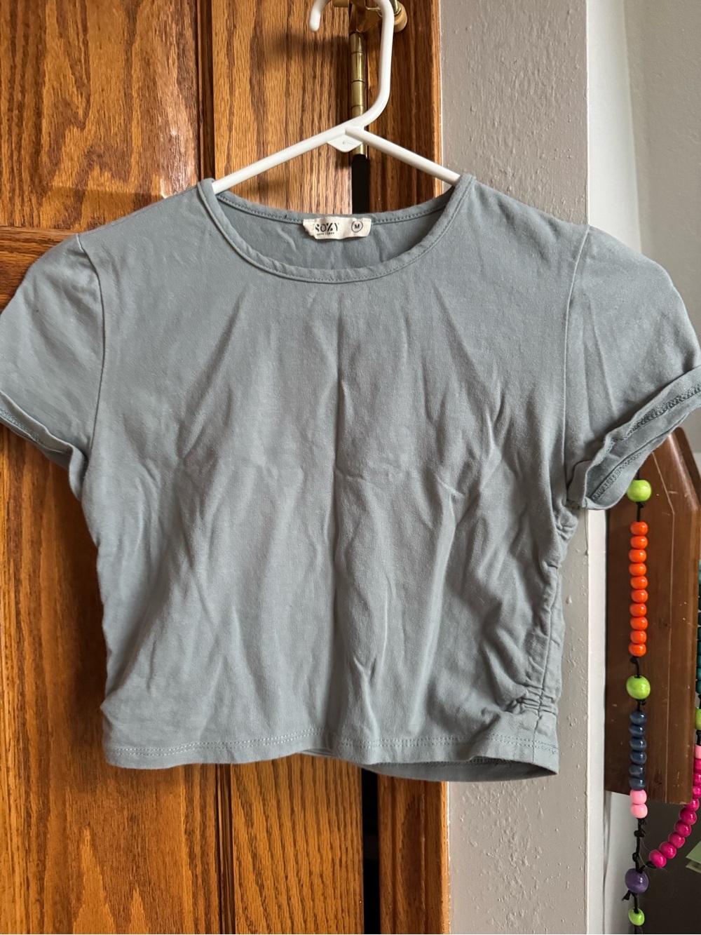 Sozy Crewneck Short Sleeve Crop Top in Bluish Gray